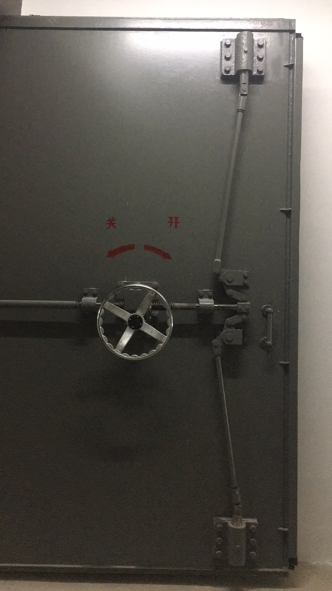Protective door